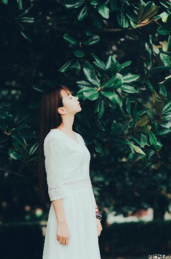 少年白马醉春风 电视剧