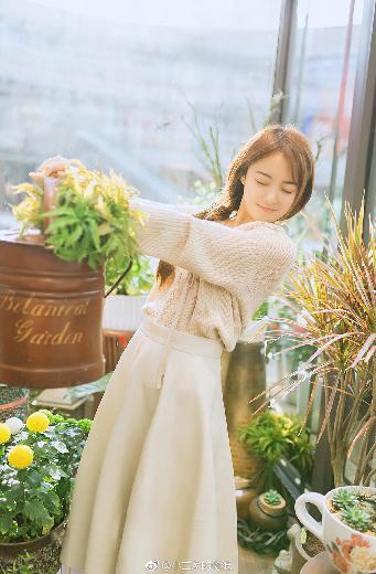 献鱼电视剧免费观看完整版